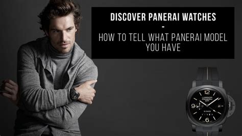 Discover Panerai Watches & How to Tell What .